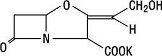 Amoxicillin and Clavulanate Potassium